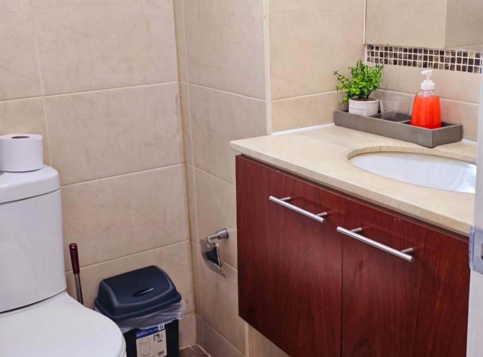 Apart Hotel Suagon Suites Santiago Centro Luaran gambar
